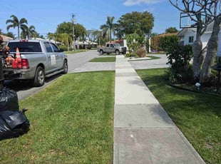 Eylul O.'s Lawn Mowing Service service result