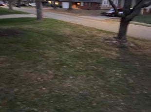 Leaf Removal by Bryant King for Eric T. in Kansas City, MO