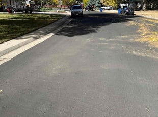 Leaf Removal by Jason Hernandez for Brian F. in Centennial, CO