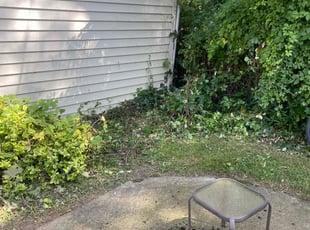Cleanups by Scott Basinger for Kevin H. in Lakewood, OH