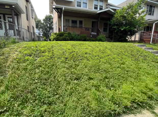 Evelyn H.'s Lawn Mowing Service service result