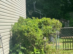 Bush Trimming by Christian Mathaudhu for Sarah P. in Springfield, VA