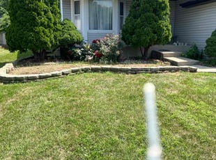 Weeding by Mike Kazlauskas for Nina B. in Joliet, IL