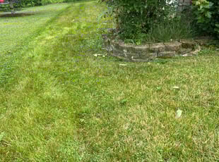 Bush Trimming by Chuck Behymer for Jeffrey M. in Lebanon, OH