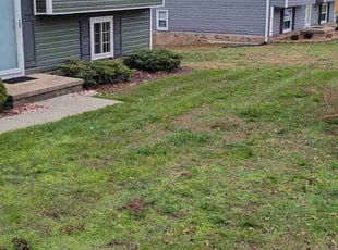 Leaf Removal by Joshua West for Natalie T. in Glen Allen, VA