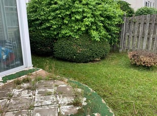 Bush Trimming by Sergio Lopez for Praise O. in Westampton Township, NJ