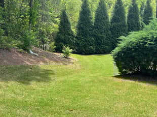 Curtis P.'s Lawn Service service result