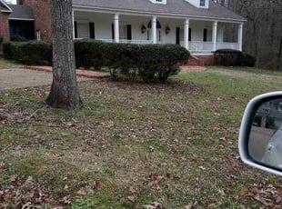 Bush Trimming by Nick Durham for Tricia W. in Flowood, MS