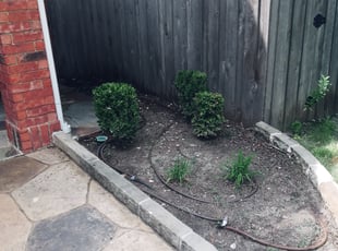 Bush Trimming by Alan Stone for Chris L. in Carrollton, TX