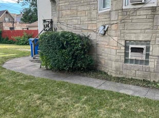 Bush Trimming by Reginald Sanders for Thomas N. in Chicago, IL