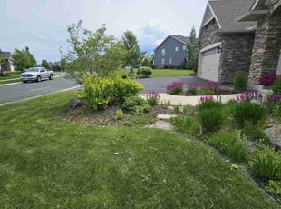 Weeding by Anthony Allison for Randy K. in Rosemount, MN