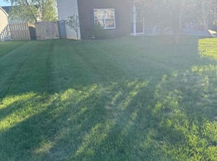 Laney G.'s Lawn Care service result