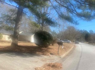 Bush Trimming by Alexis Crawford for Kathy Y. in Riverdale, GA