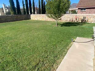 eva A.'s Lawn Mowing service result
