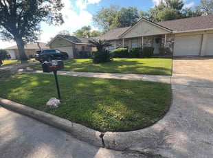 Rene G.'s Lawn Maintenance service result