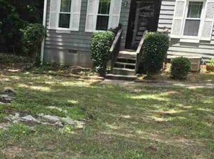 Bush Trimming by Christopher Johnson for Palma B. in Decatur, GA