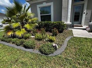 Weeding by James Ramey for Bisi A. in St. Cloud, FL
