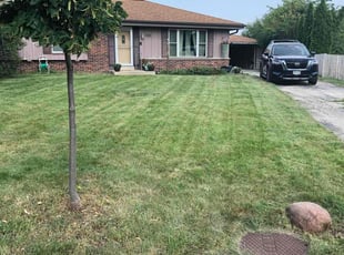 Larry k.'s Lawn Mowing service result