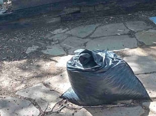 Cleanups by Mario-Duplicate Martinez for Chaunsi M. in Arlington, TX