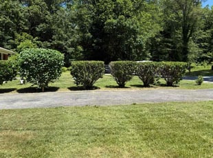 Bush Trimming by Darrel Kelton for Jessica R. in Indian Head, MD