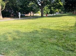 Jim M.'s Lawn Mowing service result