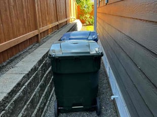 Cleanups by Joseph Mcdermaid for Anthony K. in Kent, WA