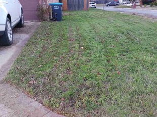 Cleanups by Renarld Gardner for Coumba S. in Fort Worth, TX