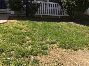Weeding by Alicia Sanders for undefined S. in Charlotte, NC