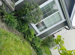 Bush Trimming by Emanuel Johnson for Caitlin C. in Omaha, NE