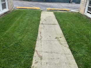 Collin M.'s Lawn Maintenance service result
