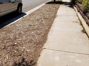 Cleanups by Philip Castle for Lindsay S. in Denver, CO