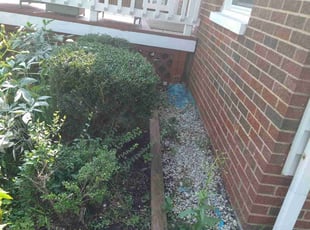 Bush Trimming by Elizabeth Williams for Chase N. in Euclid, OH