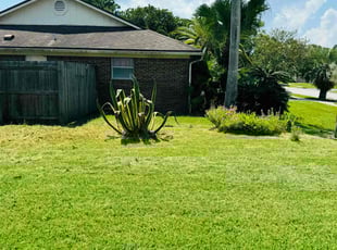 Patricia J.'s Lawn Care service result