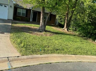Chad H.'s Lawn Maintenance service result