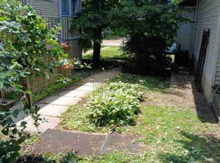 Cleanups by Anthony Avila for Rosemary O. in Plainfield, IL