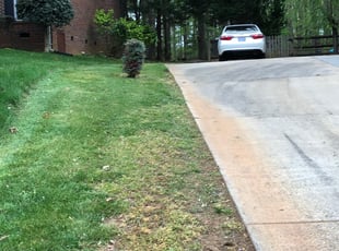 Landscaping by Caleb Beckstein for Kelly C. in Matthews, NC