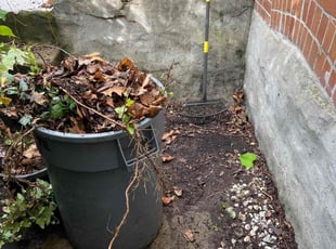 Leaf Removal by Vincent Daniele for Guerin B. in Pittsburgh, PA