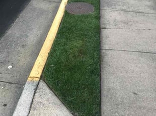 Edward S.'s Lawn Service service result