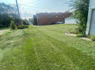 Nicole A.'s Lawn Care service result