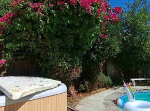 Bush Trimming by Daisy Guillen-Ramos for Karla M. in Bakersfield, CA