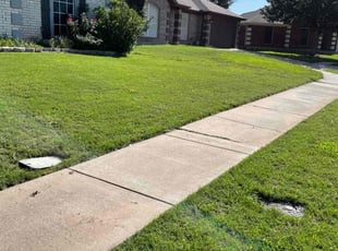 Erik P.'s Lawn Maintenance service result
