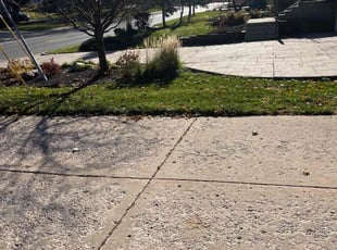 Leaf Removal by Carlier Ntangsi for Christian E. in Minneapolis, MN