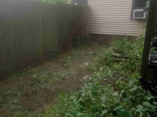 Cleanups by Kevin Rhyne for James D. in Madison, WI