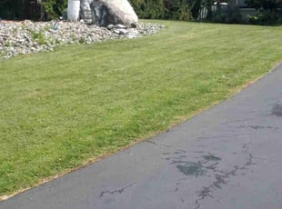 Weeding by Kevin Arndt for Leslie A. in Bellingham, WA