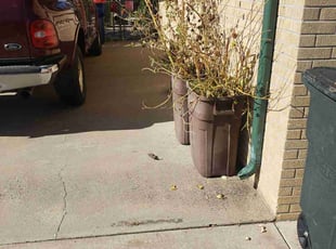 Weeding by Megan Hansen for Kristine M. in Littleton, CO