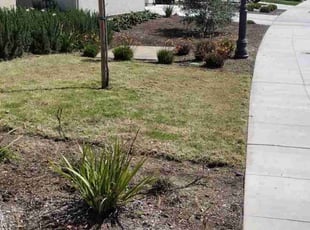Cleanups by Chase Raffellini for Aaron N. in Clovis, CA