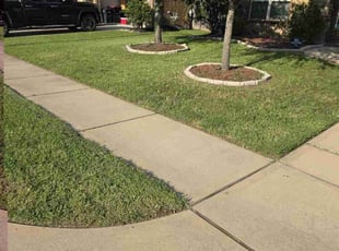 Tanner E.'s Lawn Maintenance service result
