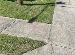 Isaiah S.'s Lawn Mowing service result