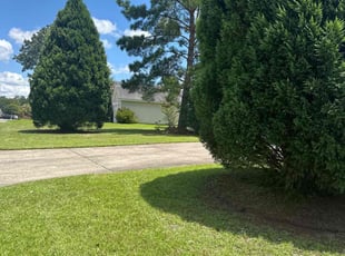Jose M.'s Lawn Mowing Service service result
