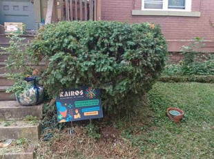 Bush Trimming by Herb Searles for Eunisha E. in St. Louis, MO